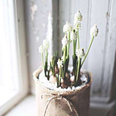 ROR体育app官方下载