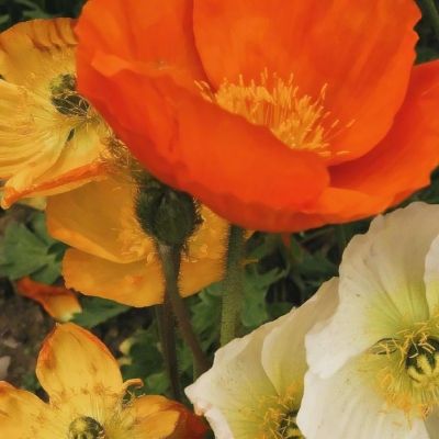 beat365手机版官方网站下载手机版