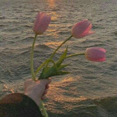 乐发app最新版下载