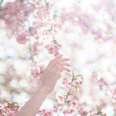 彩神下载手机版