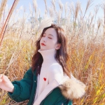 2023年新澳门今晚开特马下载手机版